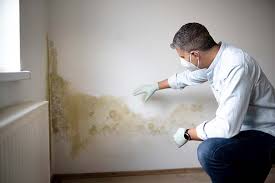 Mold Odor Removal Services in Waxahachie, TX